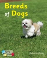 Breeds of Dogs