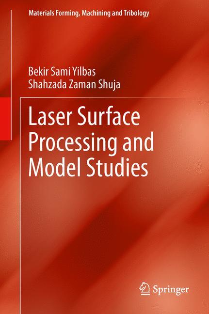 Laser Surface Processing and Model Studies