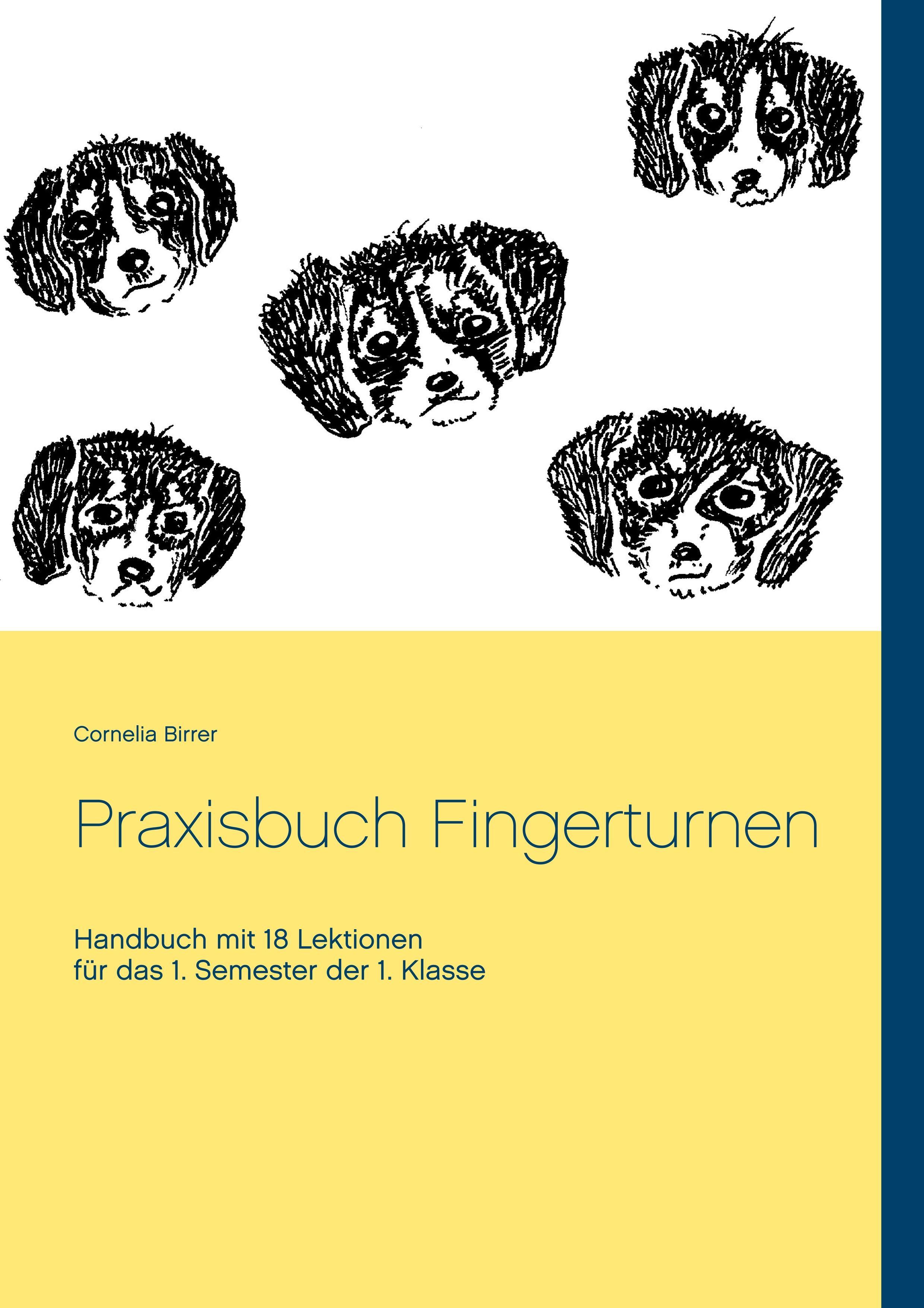 Praxisbuch Fingerturnen