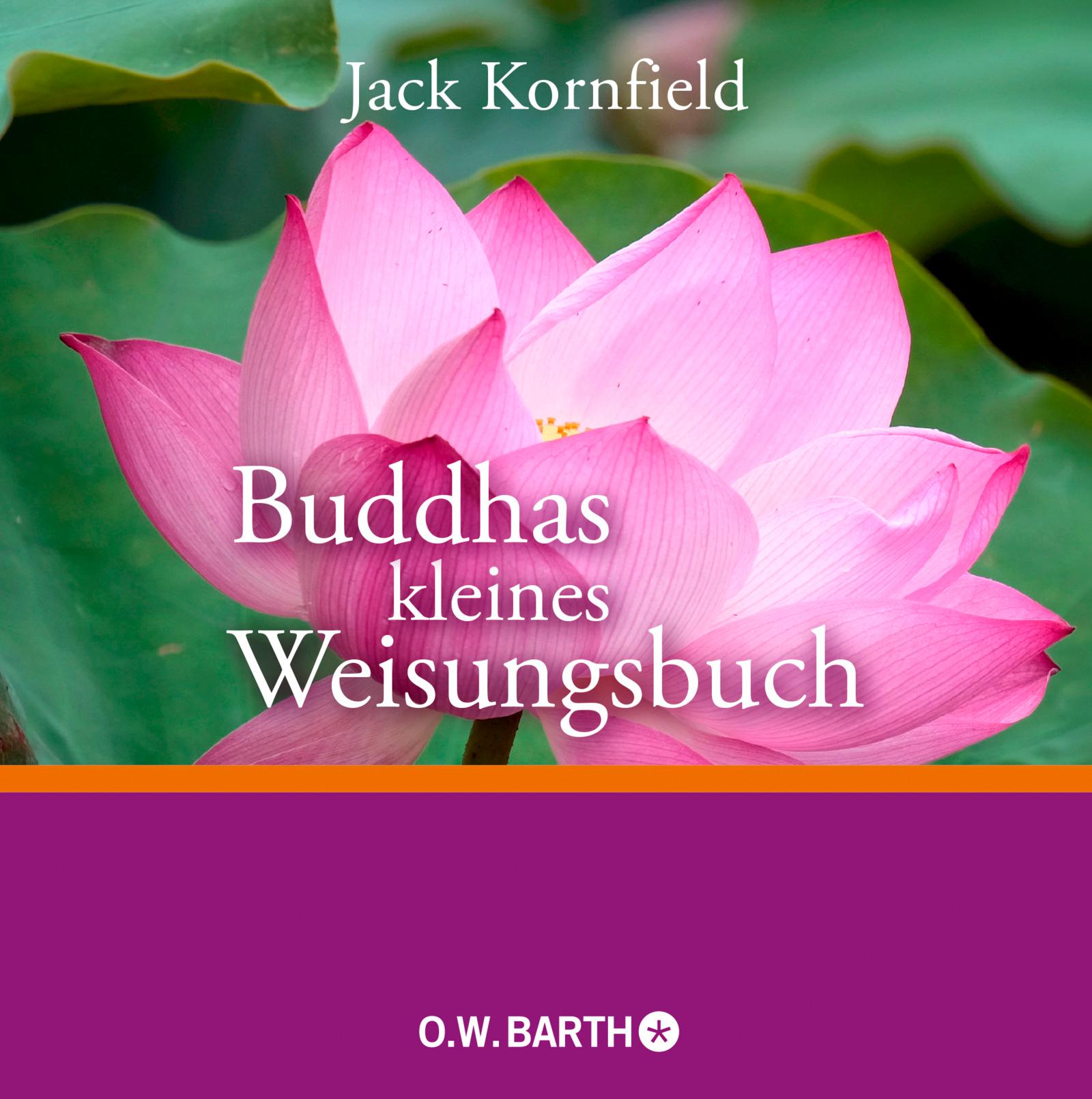 Buddhas kleines Weisungsbuch