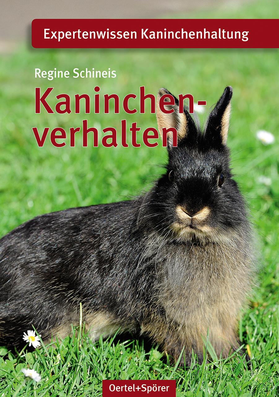 Kaninchenverhalten