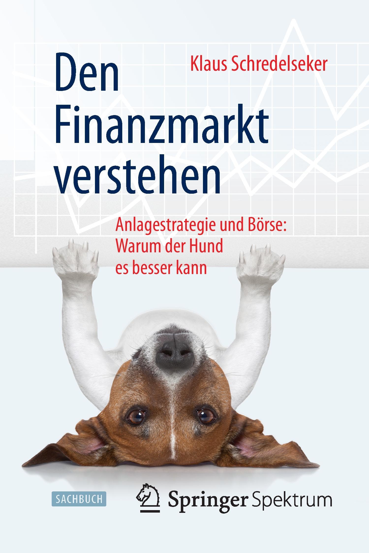 Den Finanzmarkt verstehen