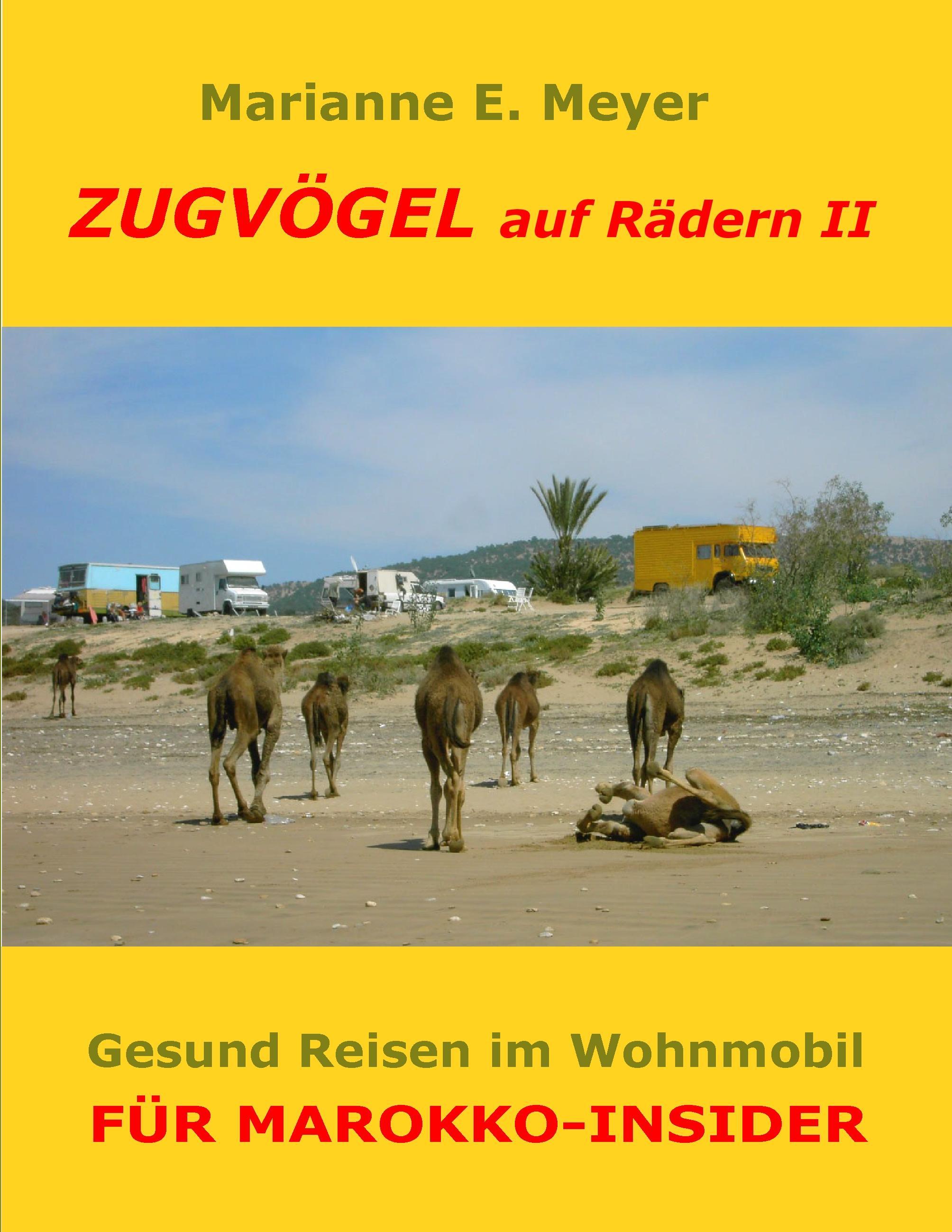 Zugvögel auf Rädern II