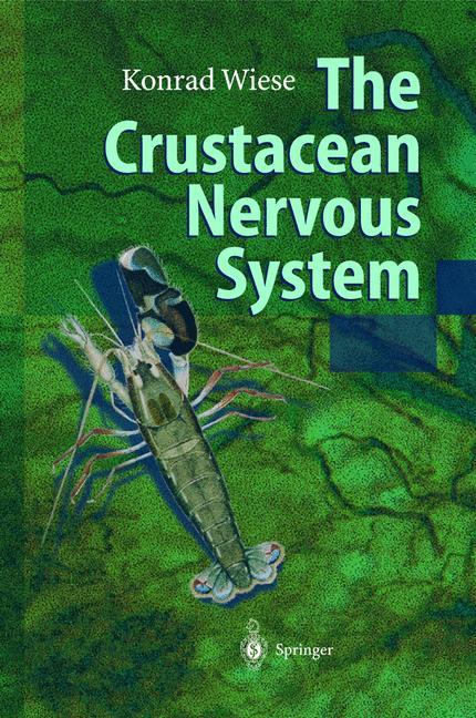 The Crustacean Nervous System