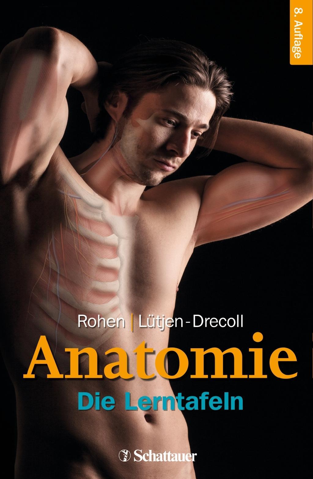 Anatomie