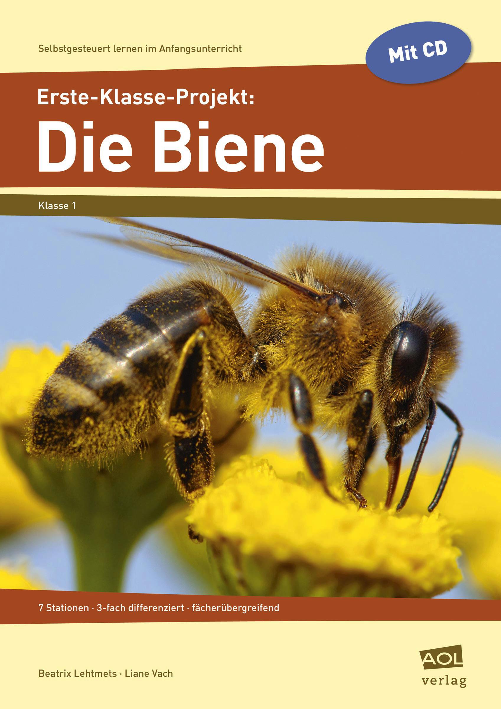 Erste-Klasse-Projekt: Die Biene