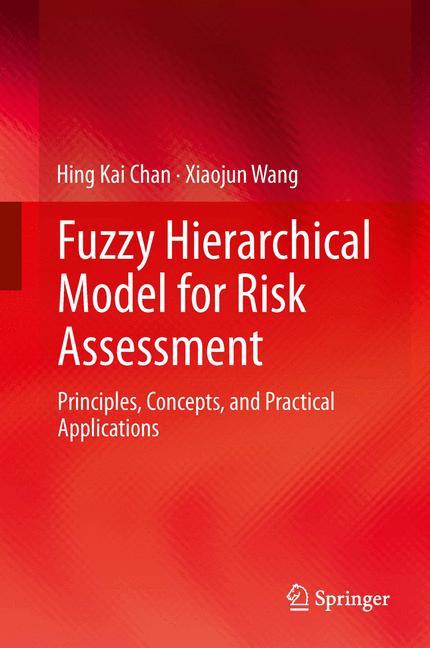 Fuzzy Hierarchical Model for Risk Assessment