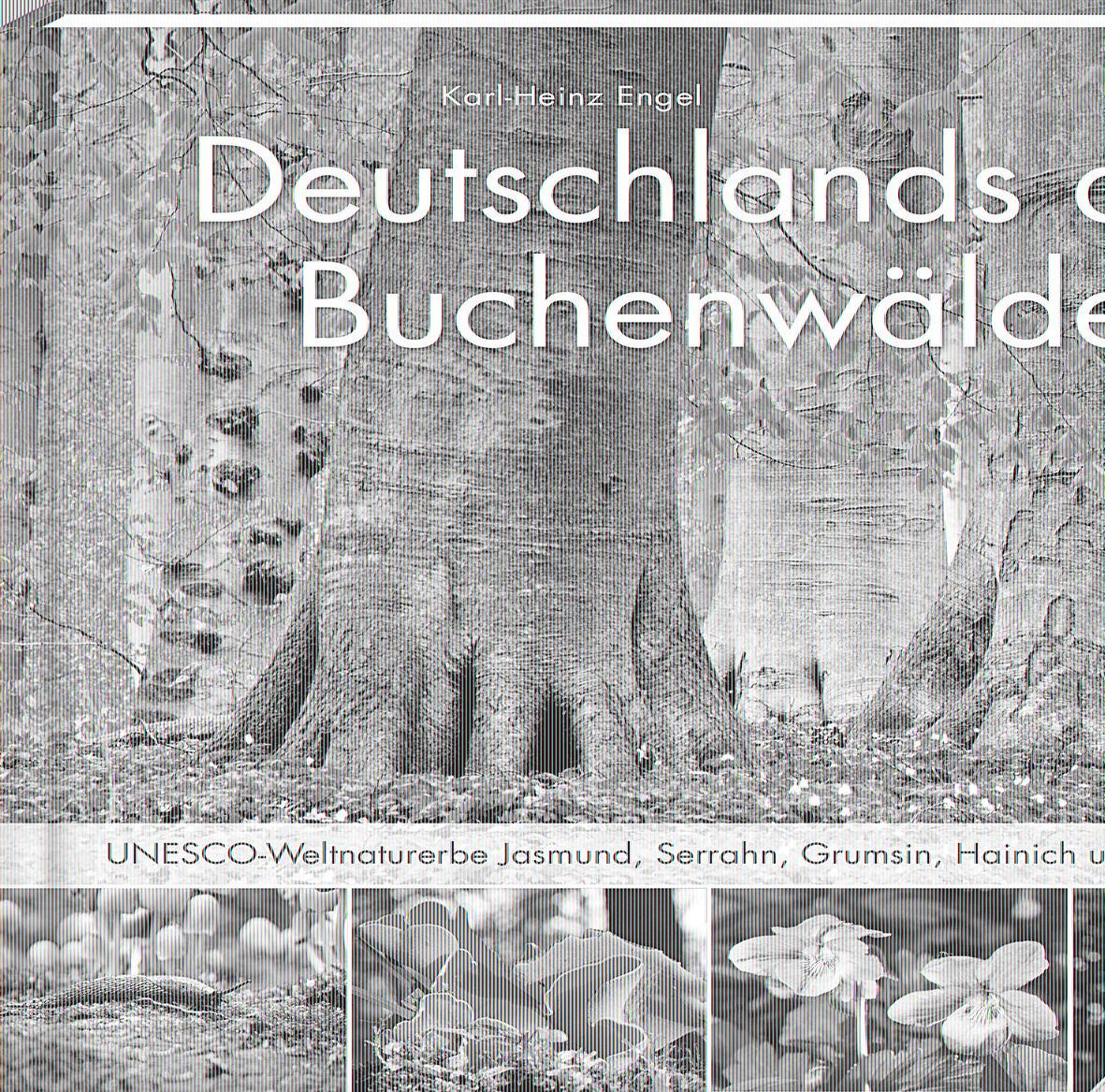 Deutschlands alte Buchenwälder