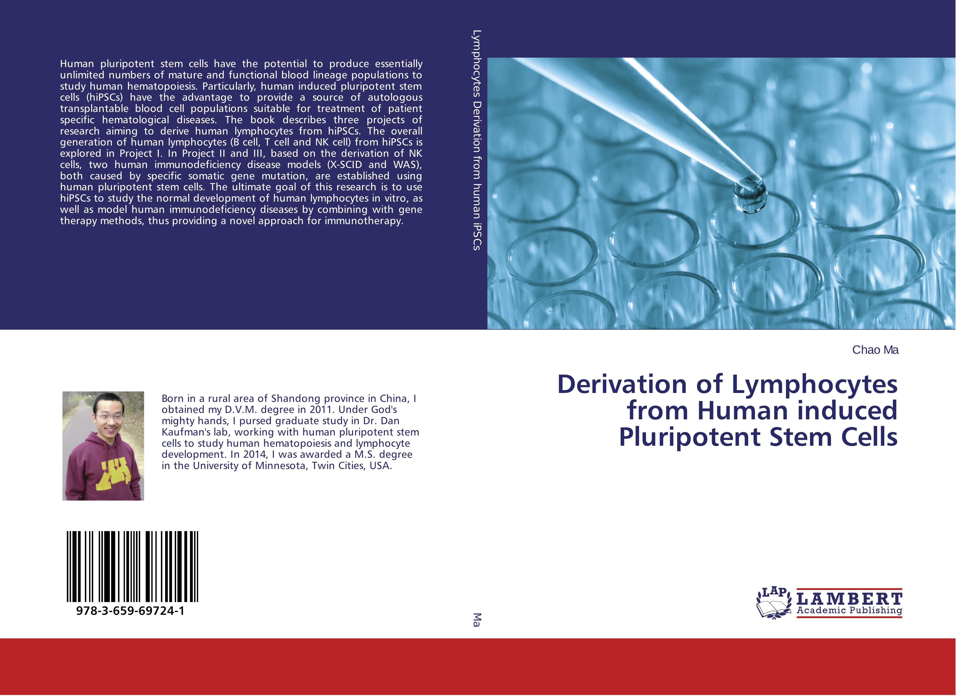 Derivation of Lymphocytes from Human induced Pluripotent Stem Cells