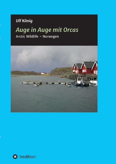 Auge in Auge mit Orcas