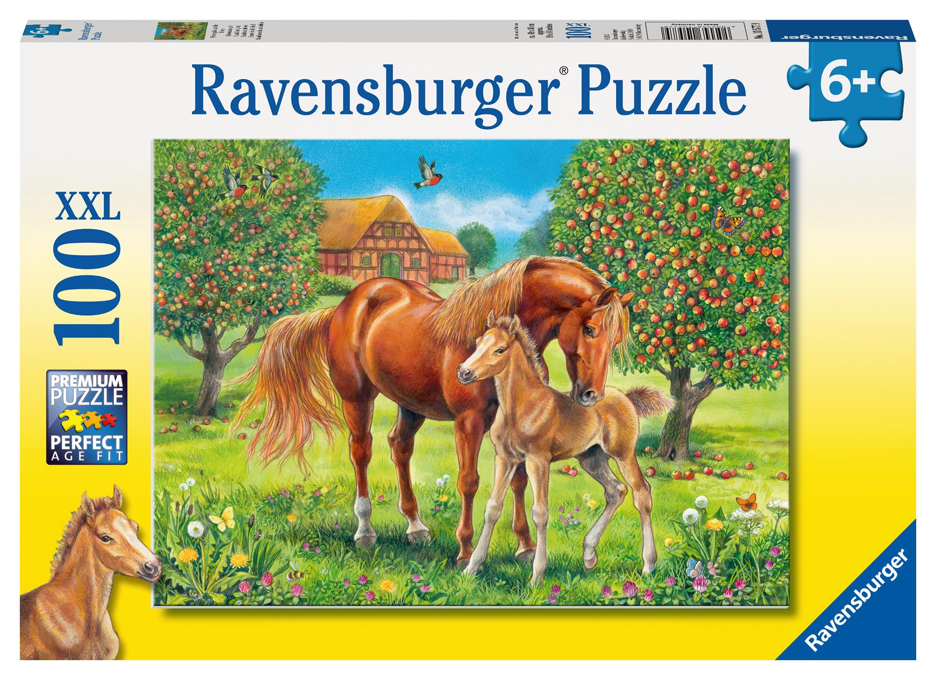 Pferdeglück auf Wiese Puzzle 100 Teile