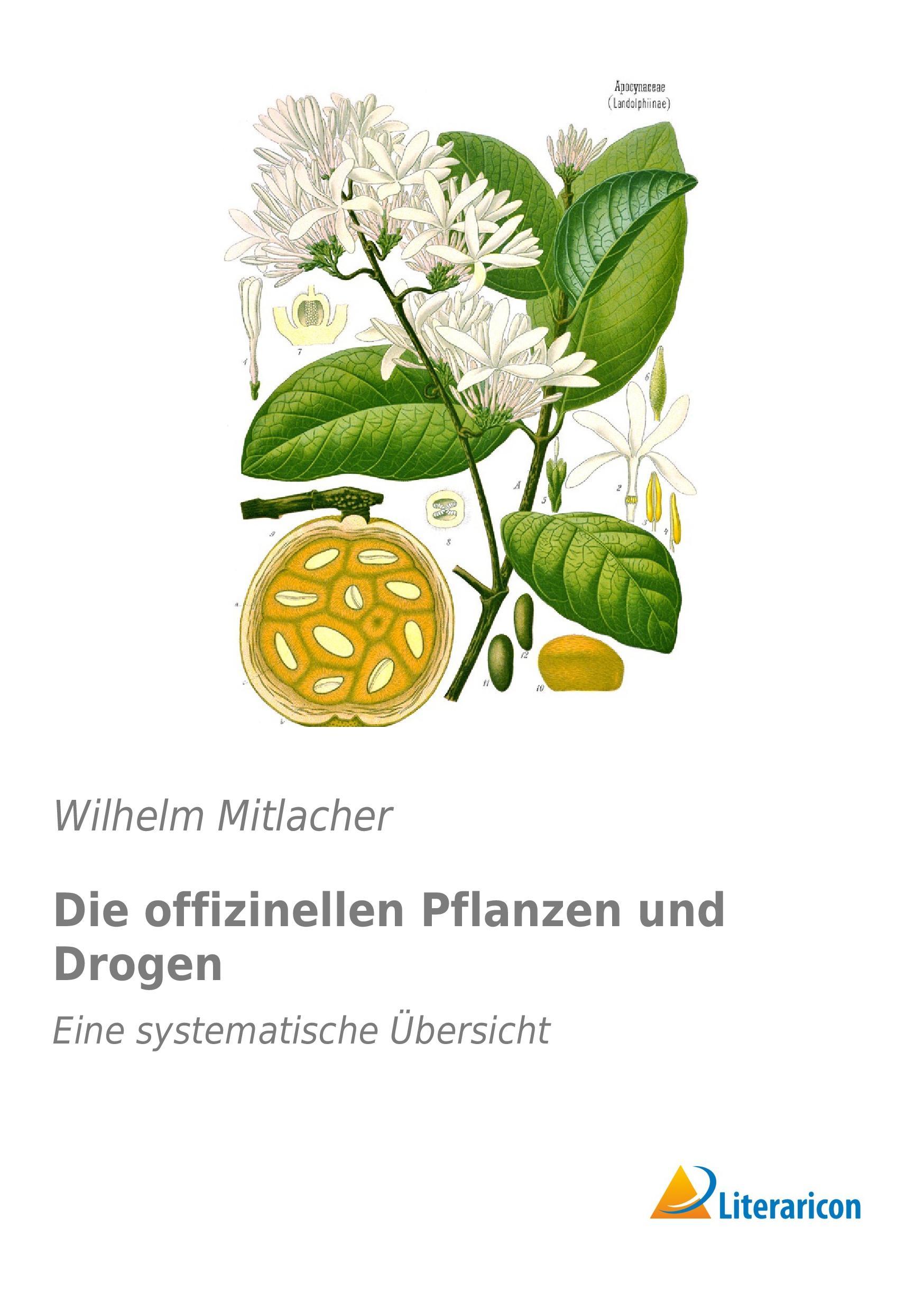 Die offizinellen Pflanzen und Drogen