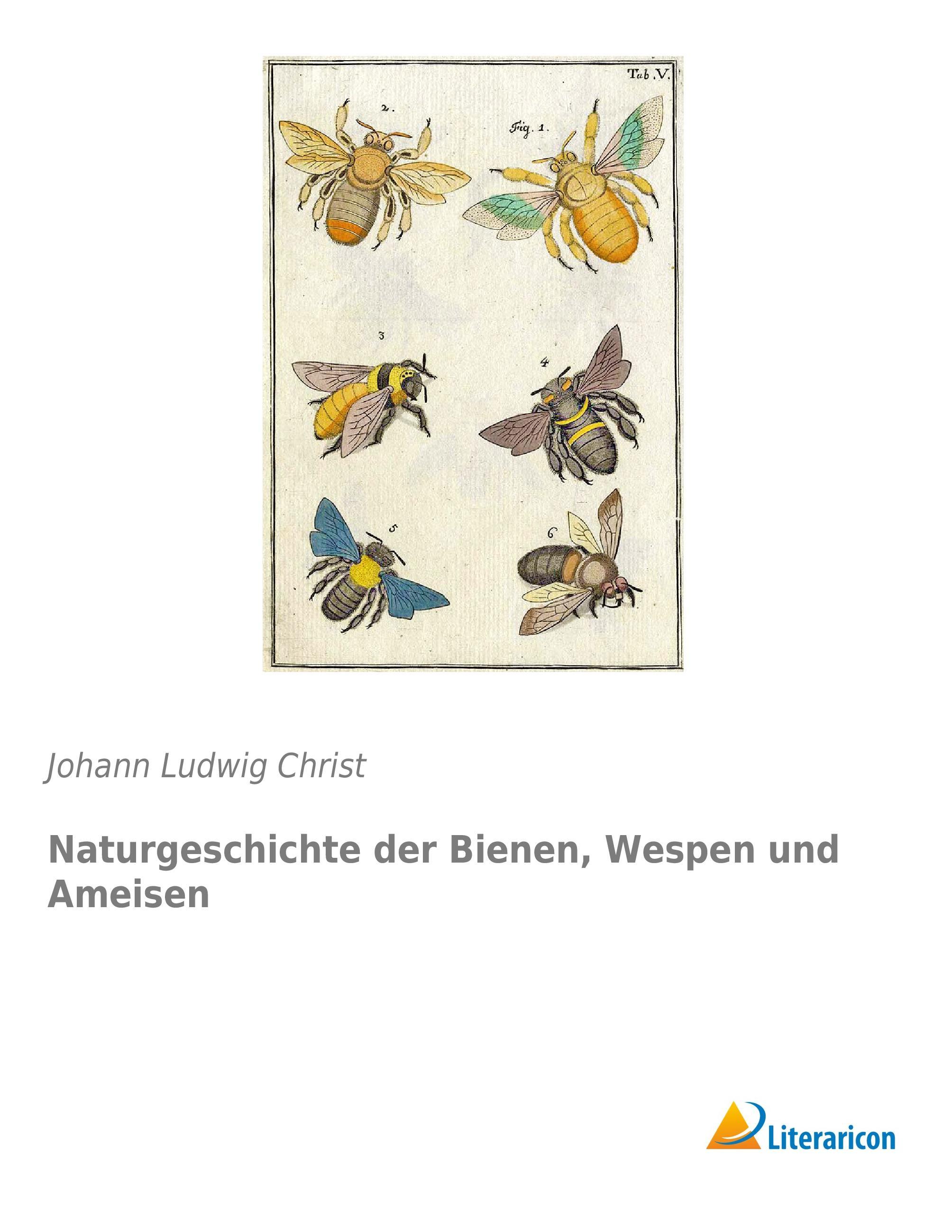 Naturgeschichte der Bienen, Wespen und Ameisen