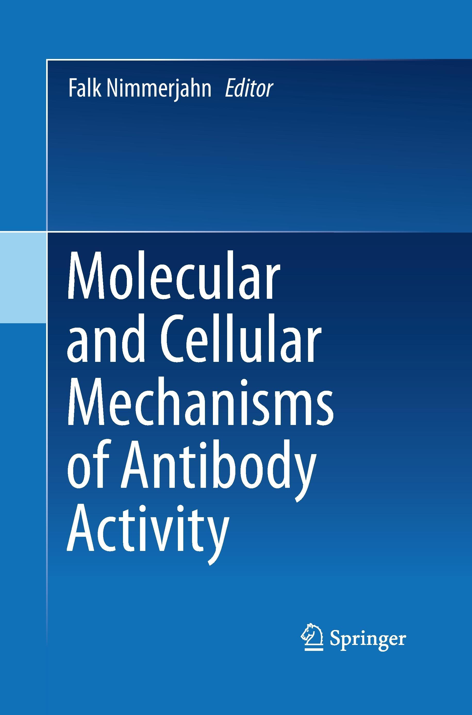 Molecular and Cellular Mechanisms of Antibody Activity