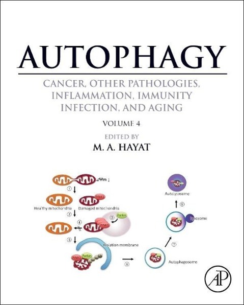 Autophagy: Cancer, Other Pathologies, Inflammation, Immunity, Infection, and Aging