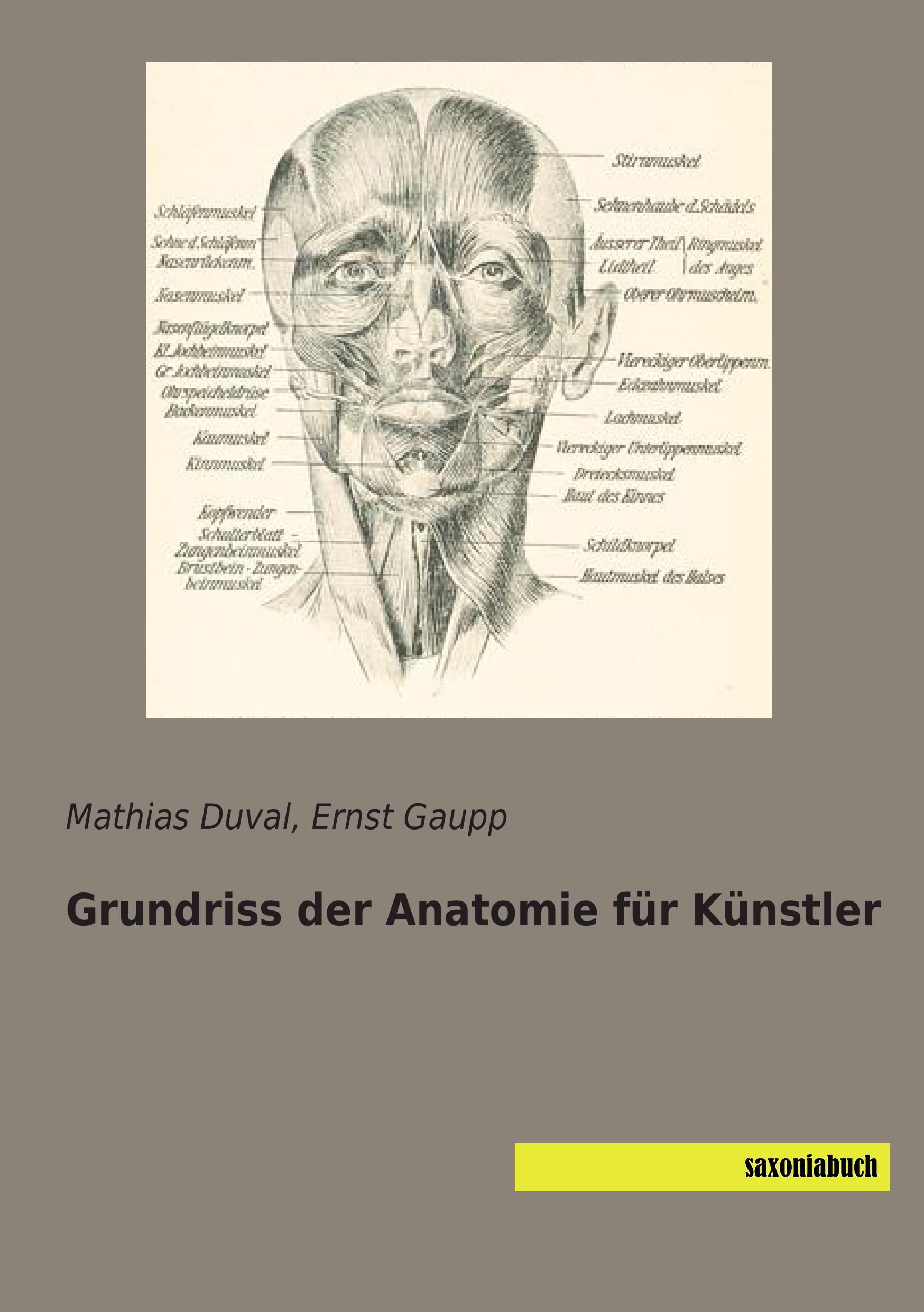 Grundriss der Anatomie für Künstler