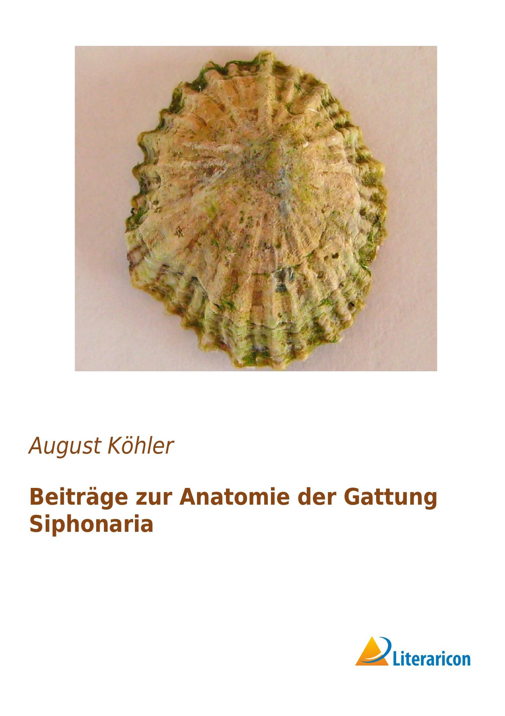 Beiträge zur Anatomie der Gattung Siphonaria