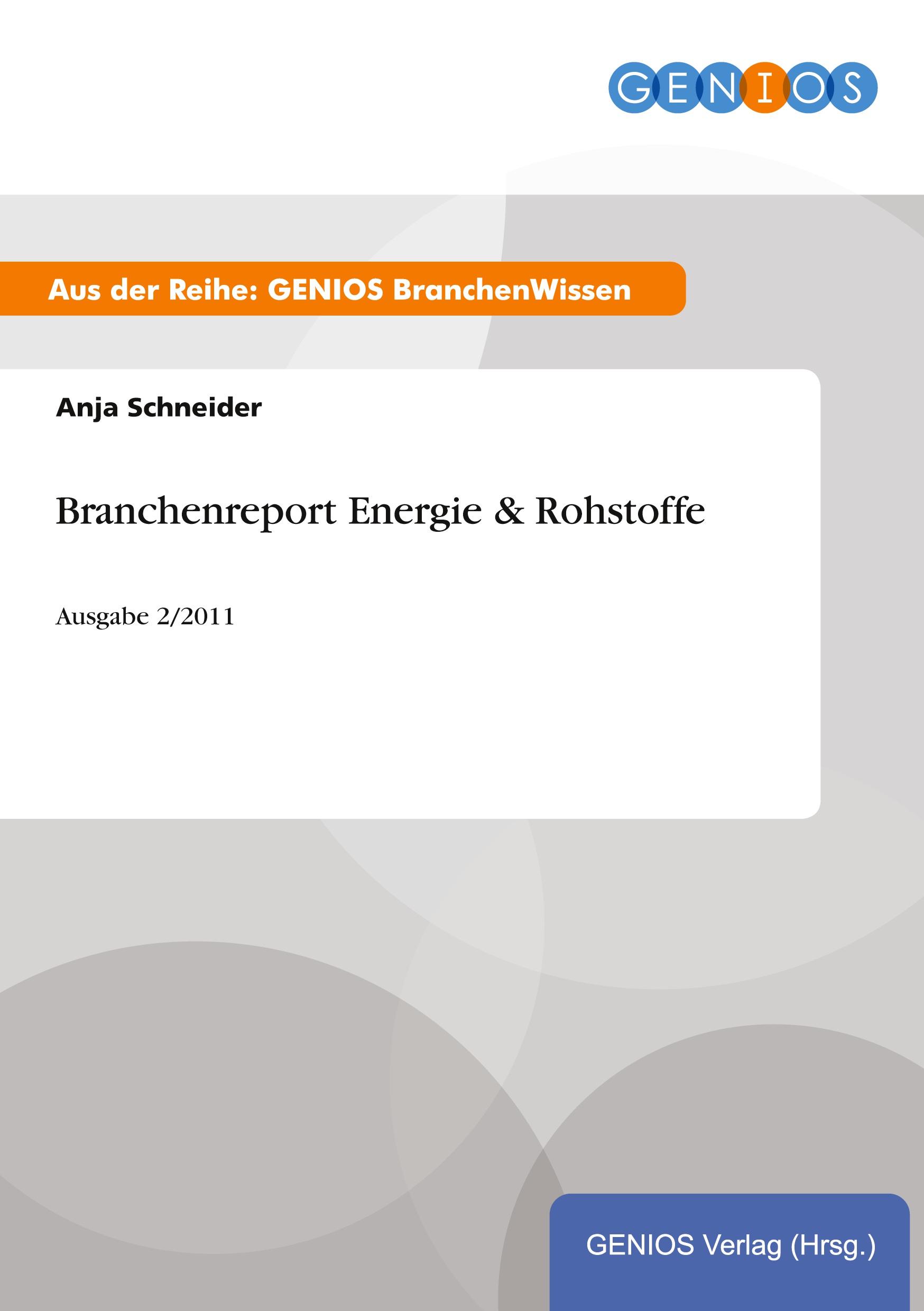 Branchenreport Energie & Rohstoffe