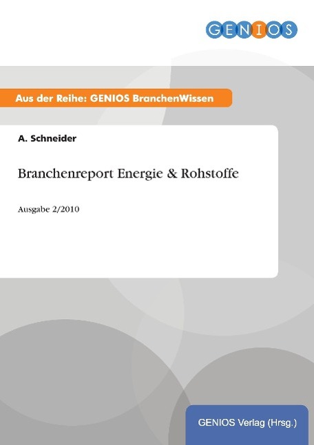 Branchenreport Energie & Rohstoffe