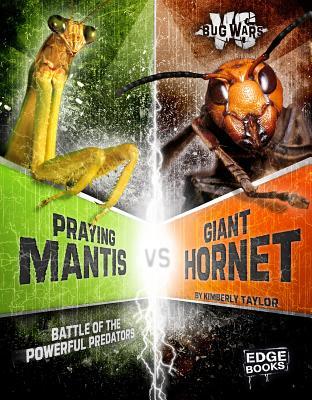 Praying Mantis vs. Giant Hornet: Battle of the Powerful Predators