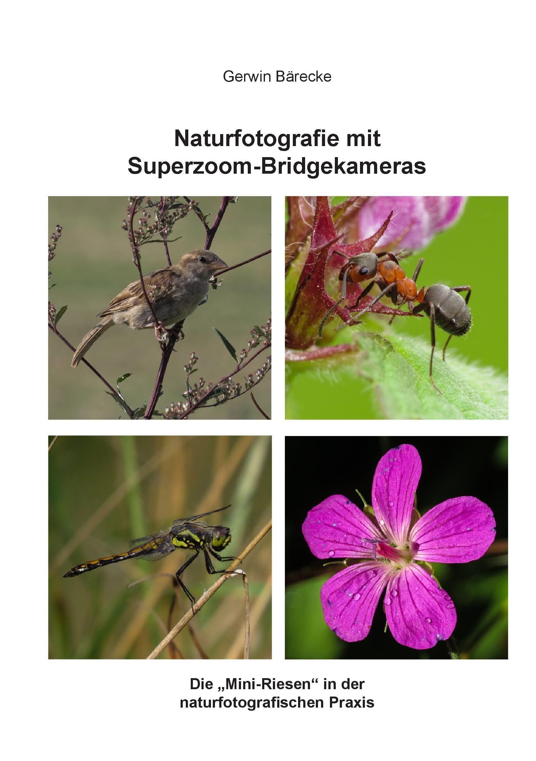 Naturfotografie mit Superzoom-Bridgekameras