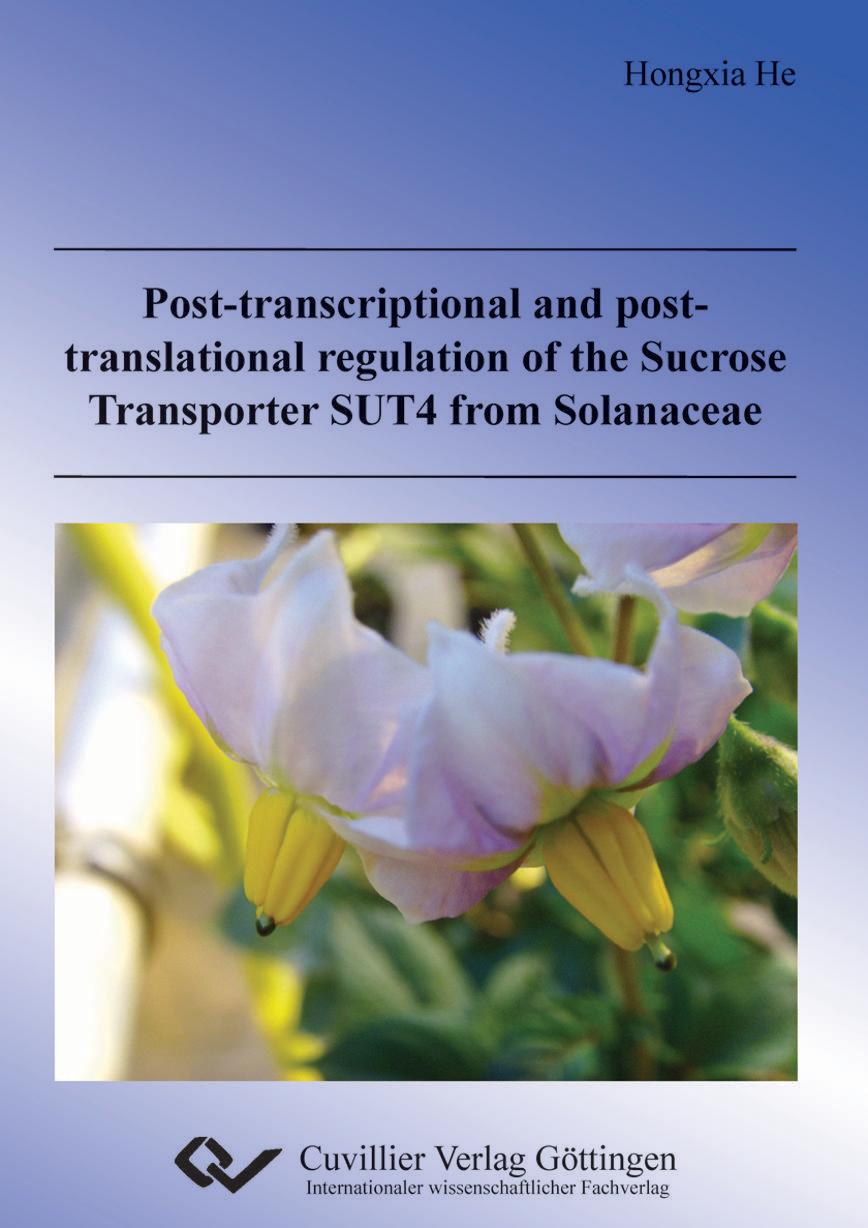 Post-transcriptional and post-translational regulation of the Sucrose Transporter SUT4 from Solanaceae