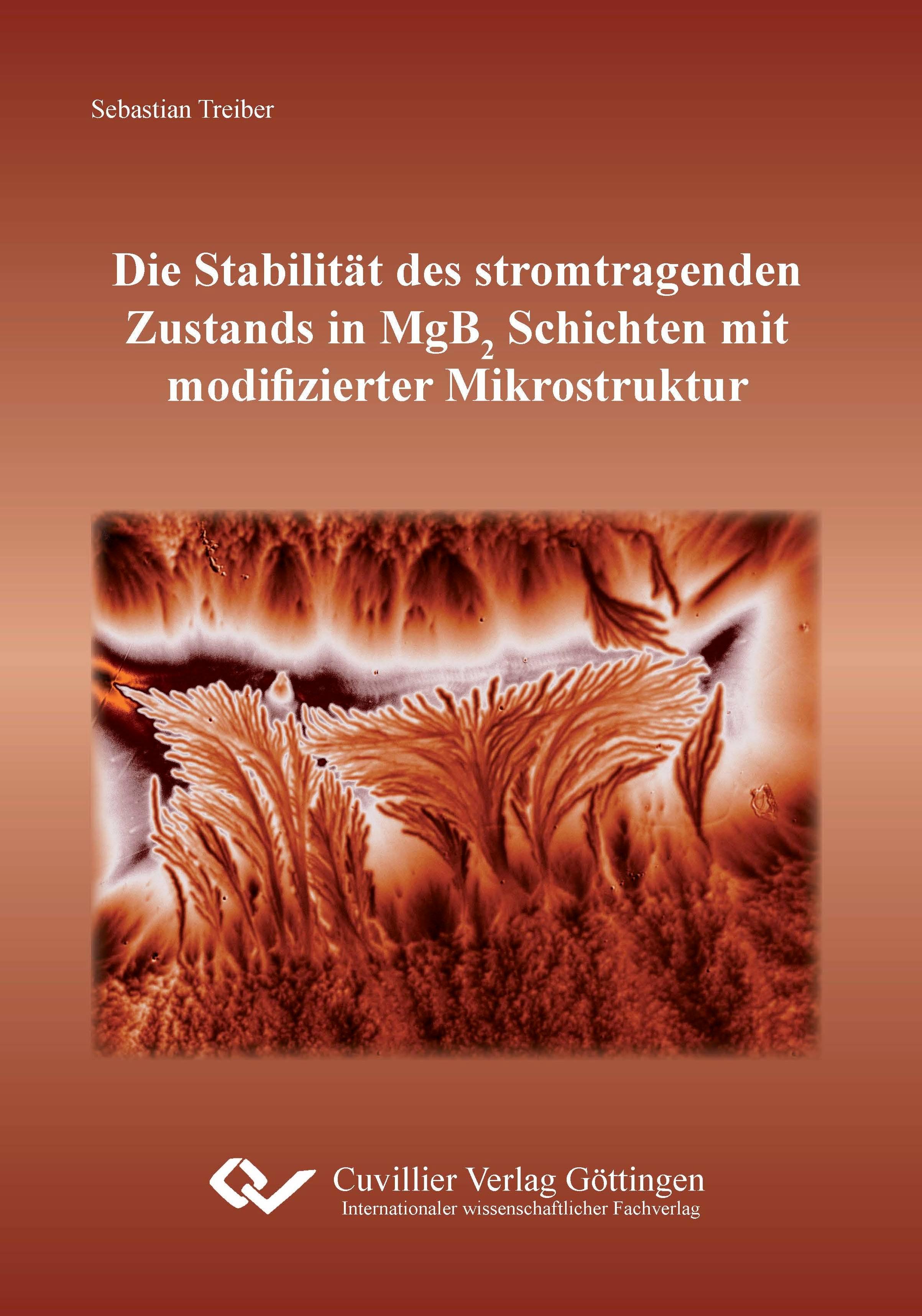 Die Stabilität des stromtragenden Zustands in MgB2 Schichten mit modifizierter Mikrostruktur