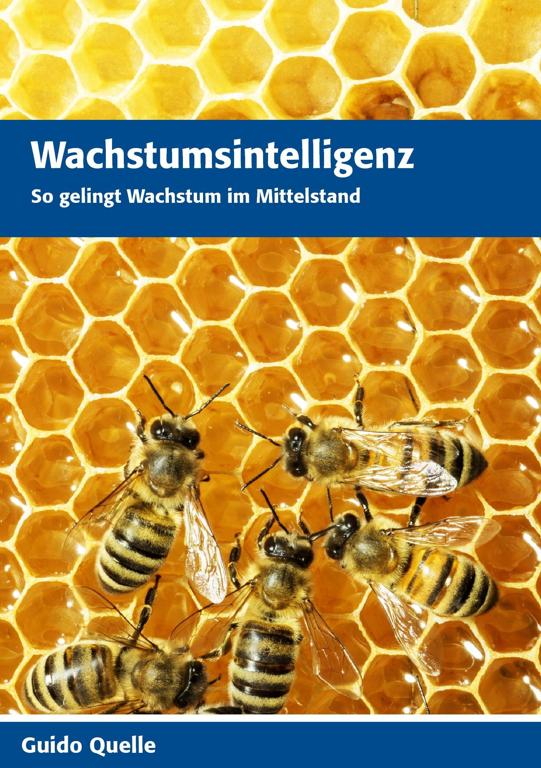 Wachstumsintelligenz