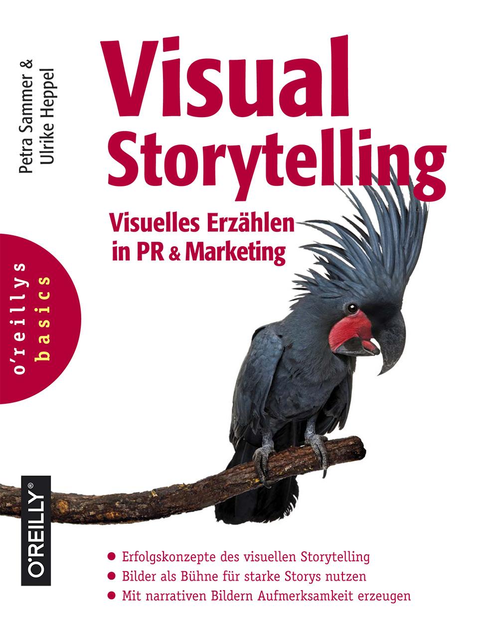 Visual Storytelling