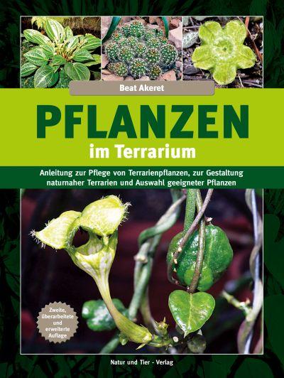 Pflanzen im Terrarium