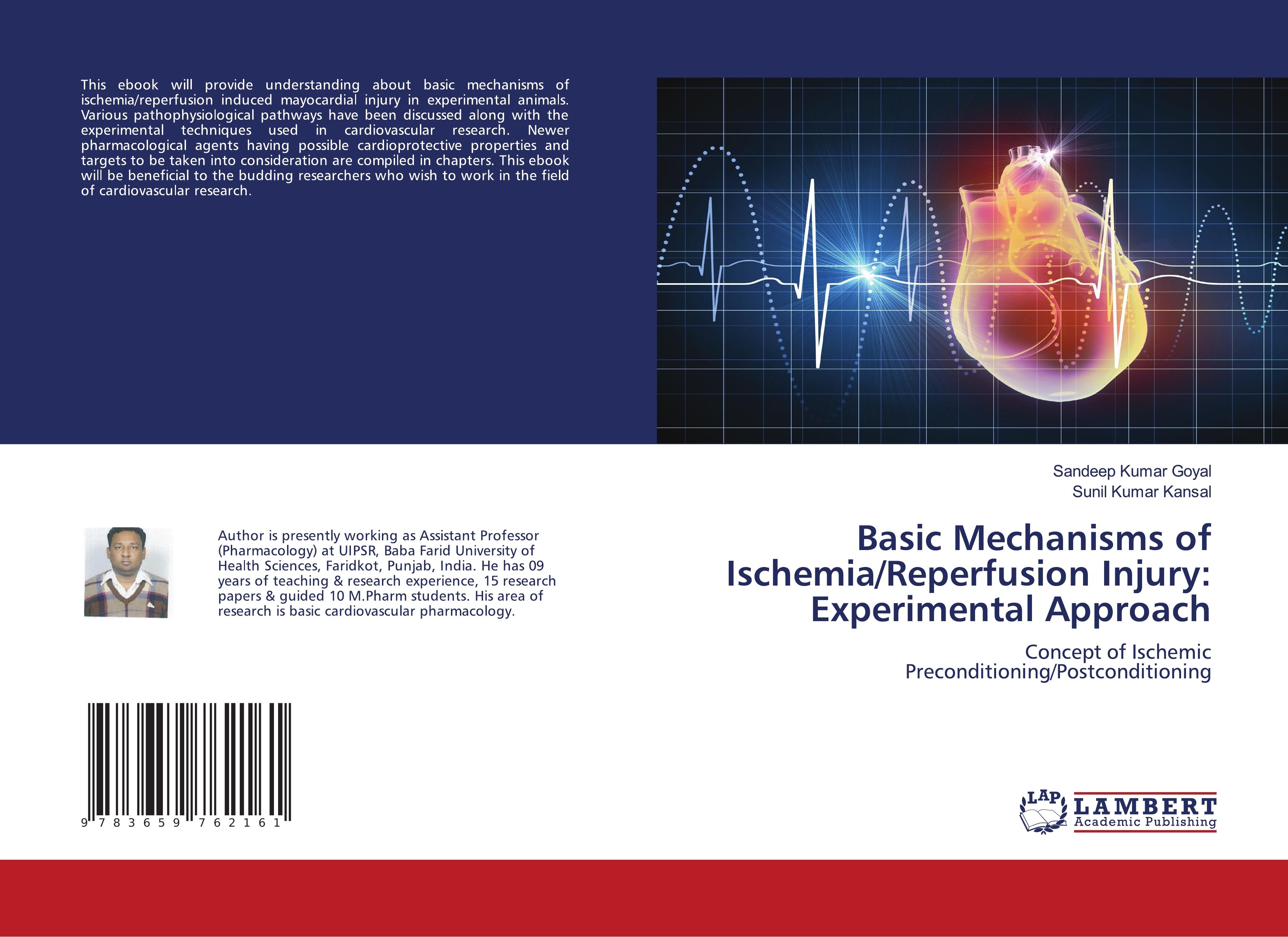 Basic Mechanisms of Ischemia/Reperfusion Injury: Experimental Approach