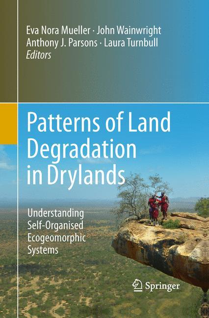 Patterns of Land Degradation in Drylands