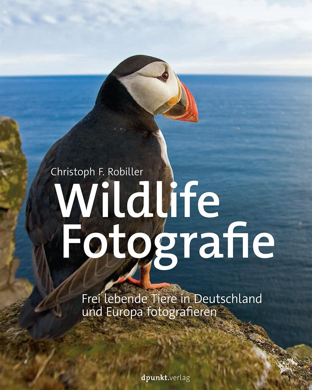 Wildlife-Fotografie