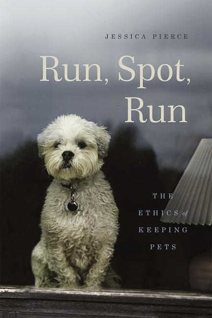 Run, Spot, Run