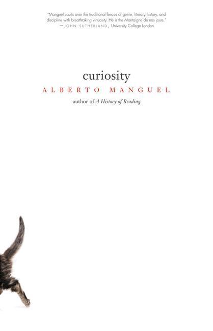 Curiosity