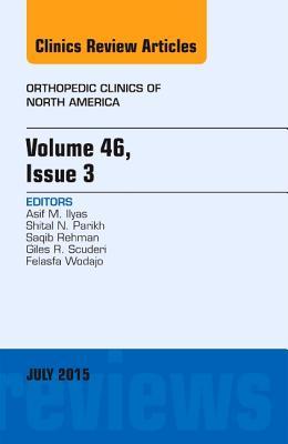 Volume 46, Issue 3, an Issue of Orthopedic Clinics