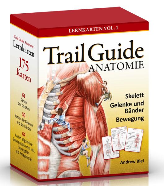 Trail Guide Anatomie