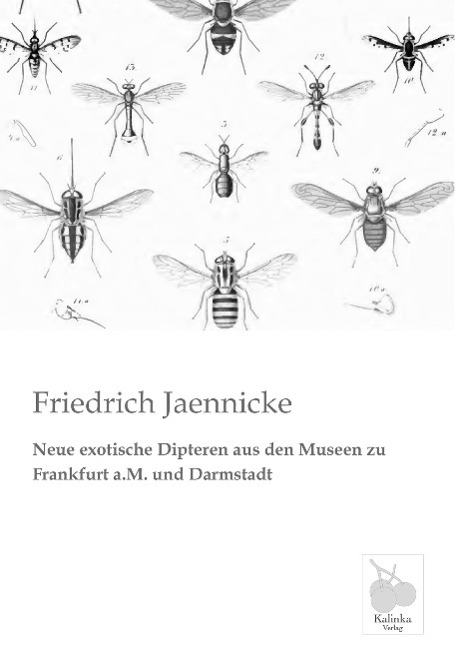 Neue exotische Dipteren aus den Museen zu Frankfurt a.M. und Darmstadt