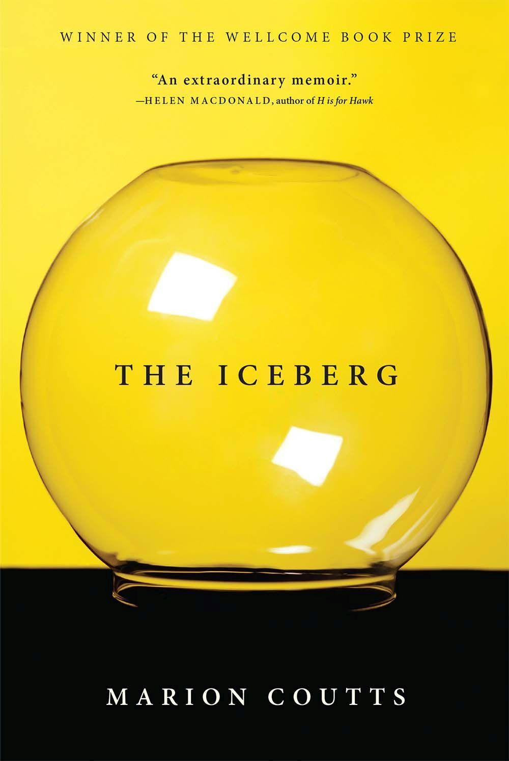 The Iceberg