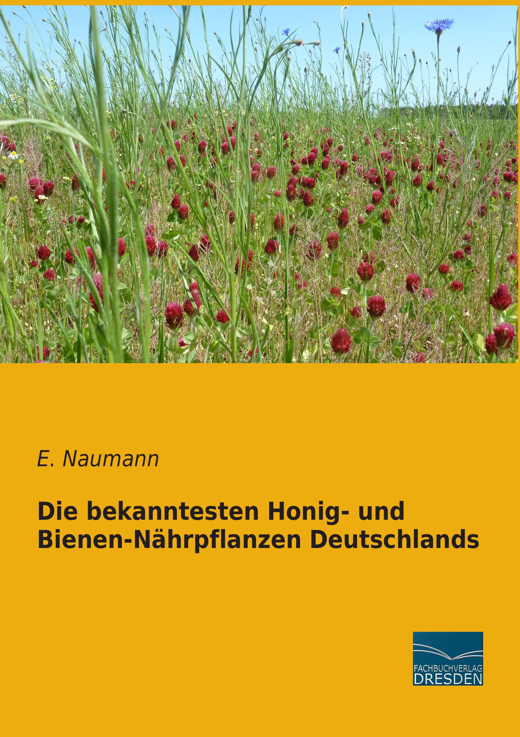 Die bekanntesten Honig- und Bienen-Nährpflanzen Deutschlands