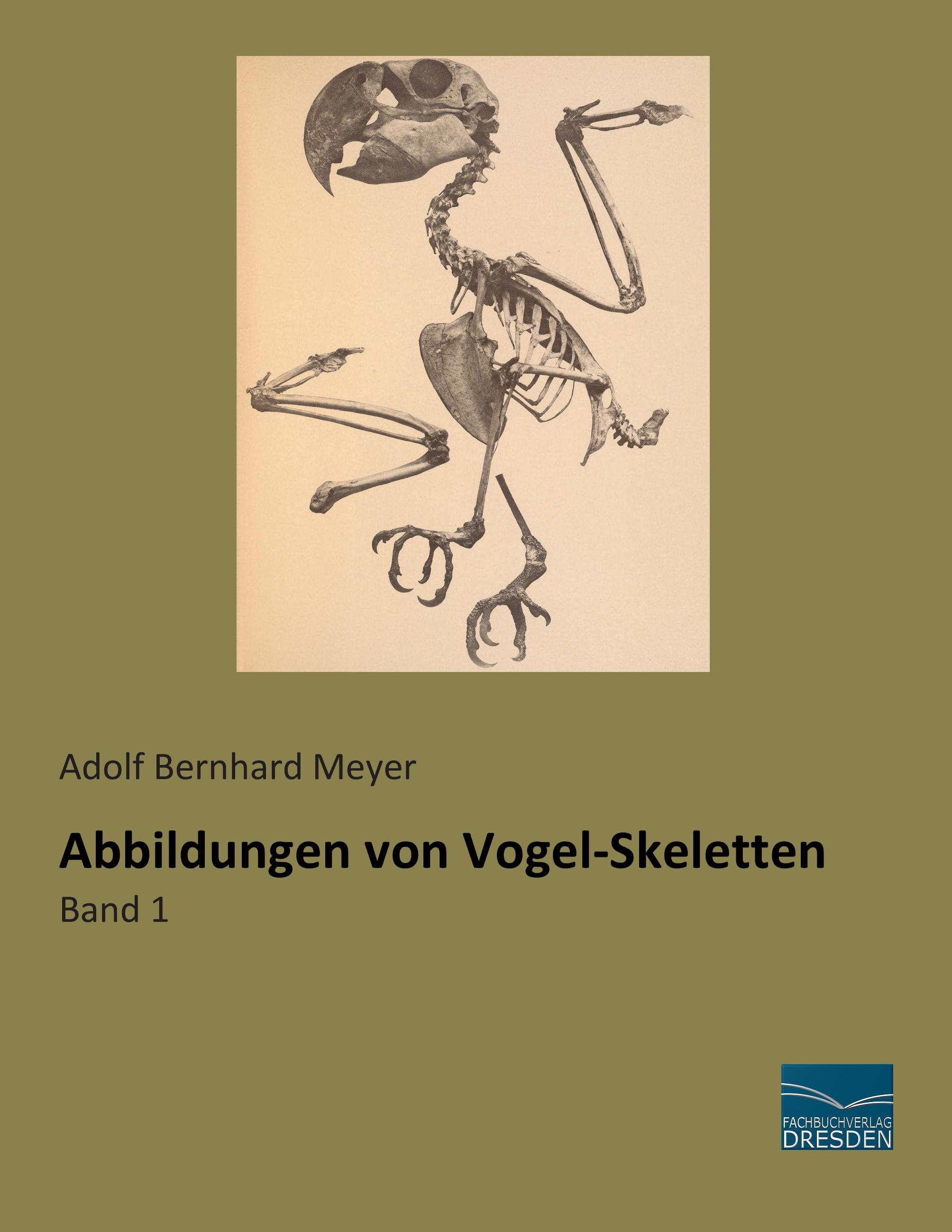 Abbildungen von Vogel-Skeletten