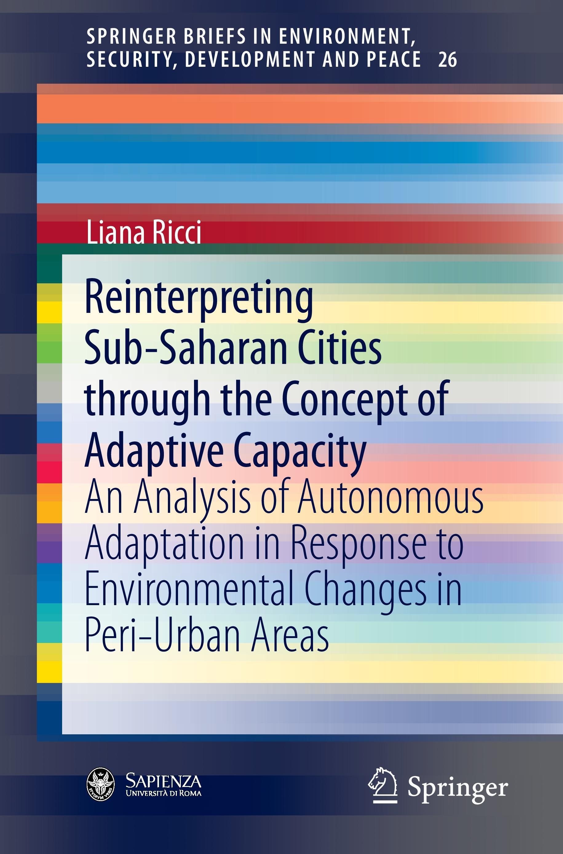 Reinterpreting Sub-Saharan Cities through the Concept of Adaptive Capacity