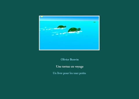 Une tortue en voyage