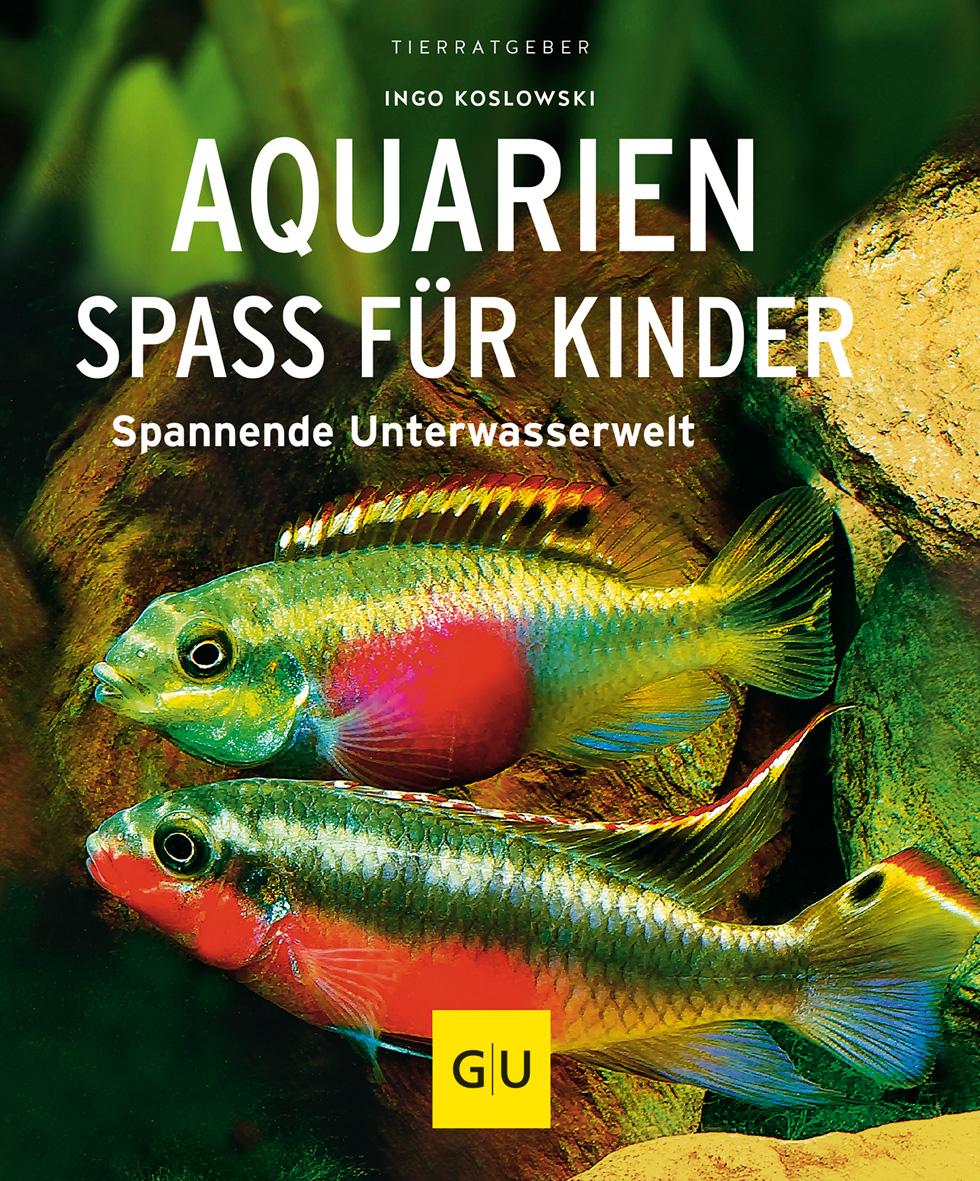 Aquarien - Spaß für Kinder