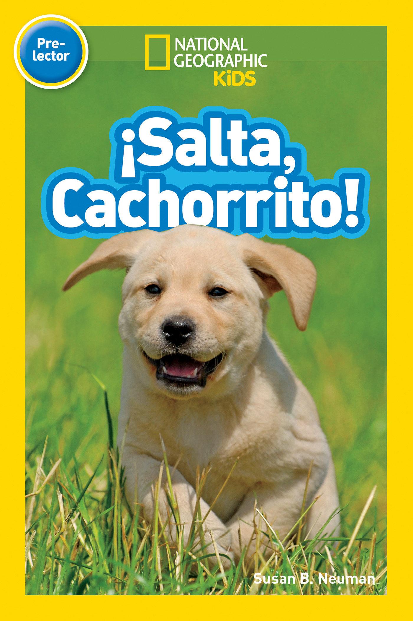 Salta, Cachorrito