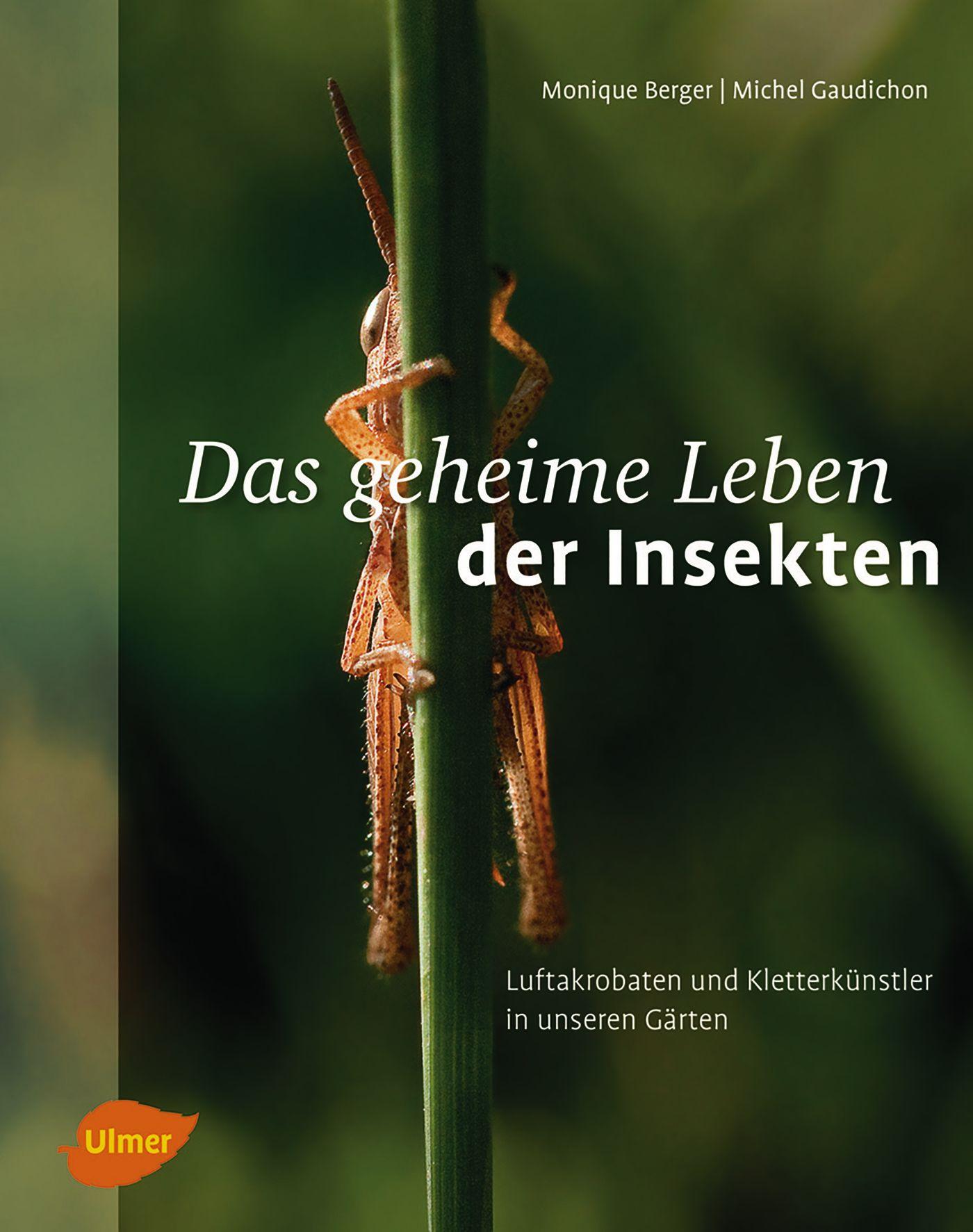 Das geheime Leben der Insekten