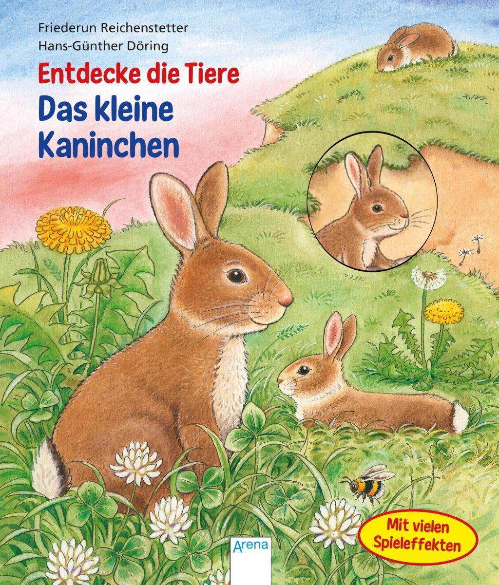 Entdecke die Tiere. Das kleine Kaninchen