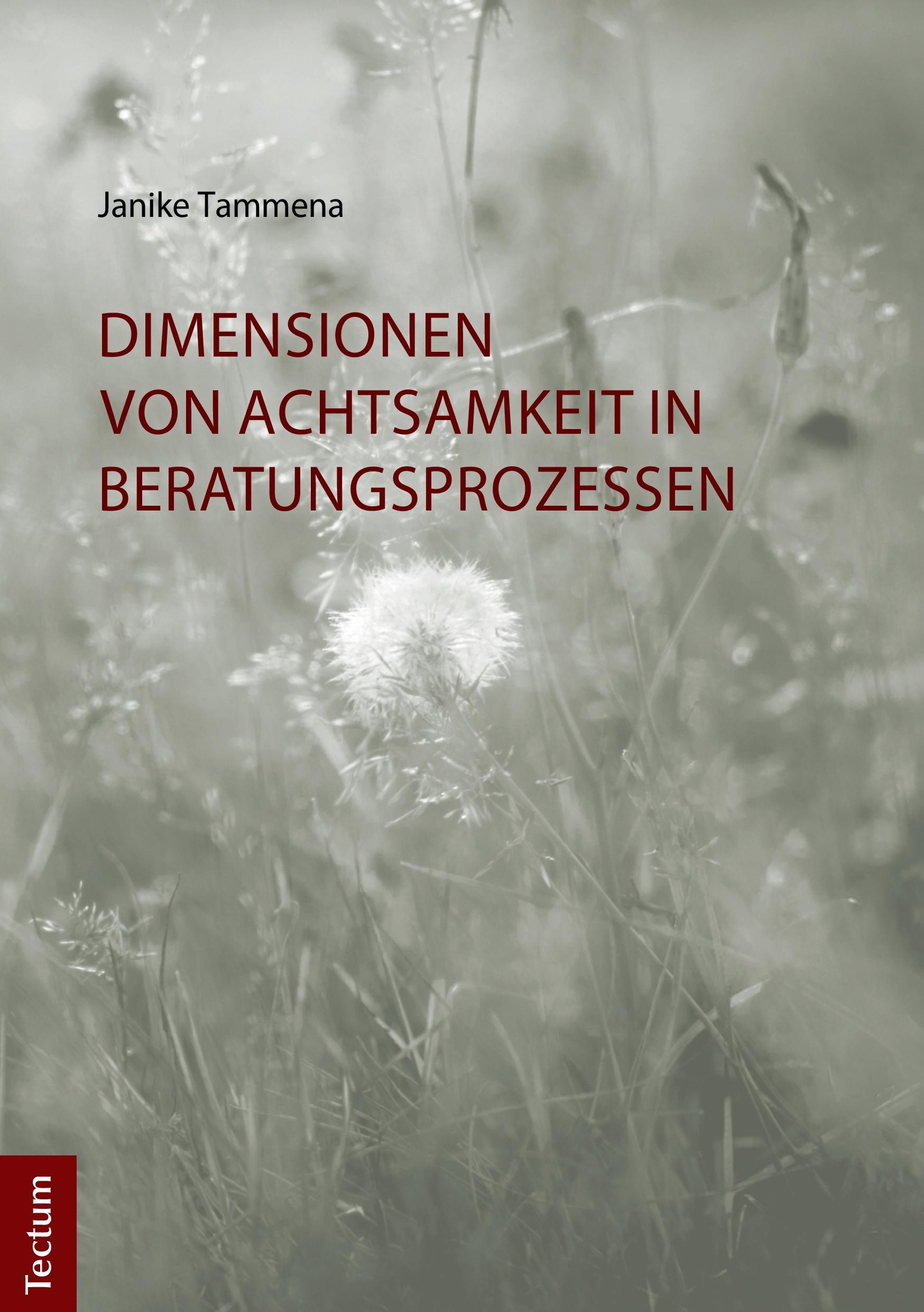 Dimensionen von Achtsamkeit in Beratungsprozessen