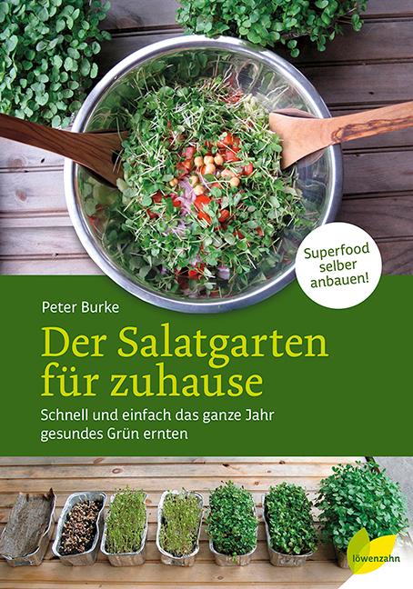 Der Salatgarten für zuhause