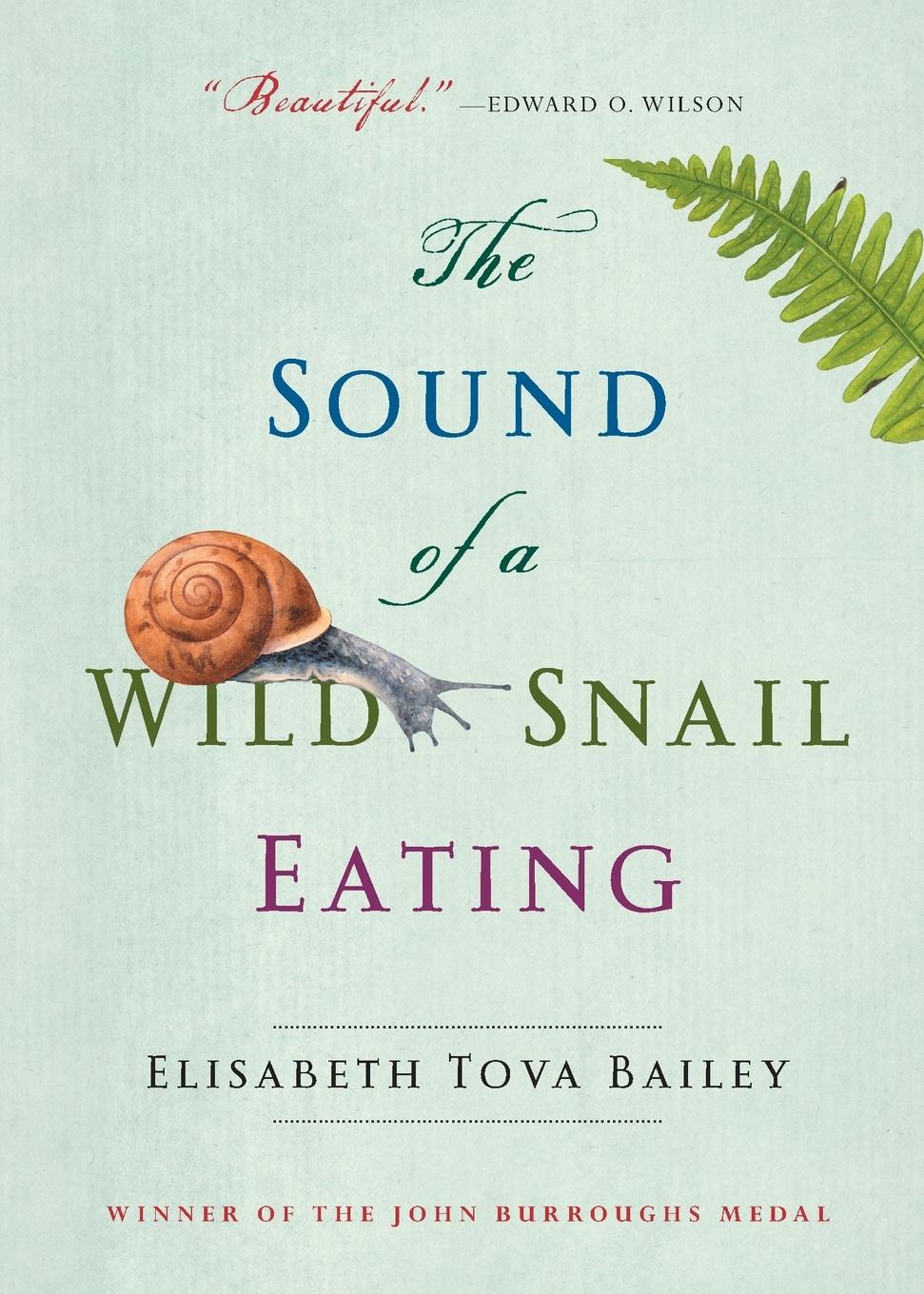 The Sound of a Wild Snail Eating